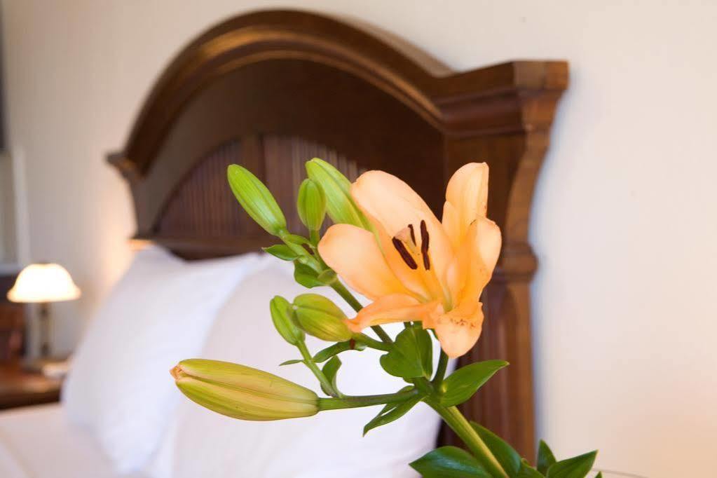 Adriatica Hotel Никиана Екстериор снимка